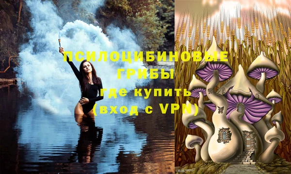 мяу мяу мука Лагань