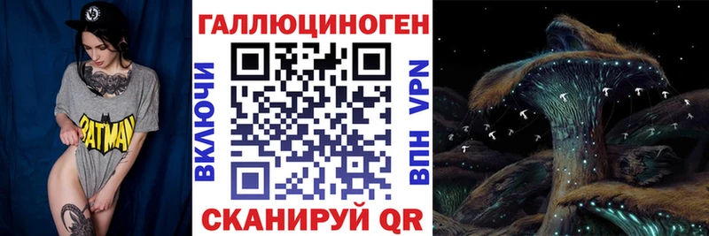 Купить закладки  Димитровград  Псилоцибиновые грибы прущие грибы 